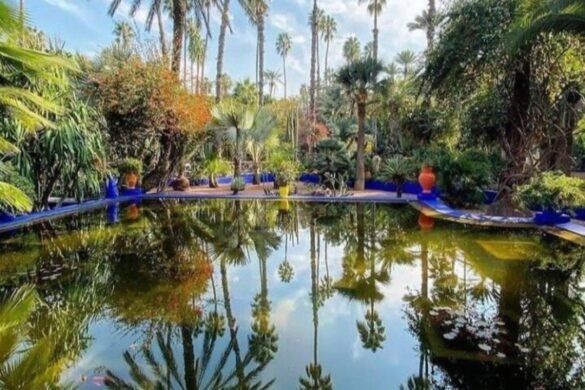 Jardin Majorelle à Marrakech : fusion de nature et d’art