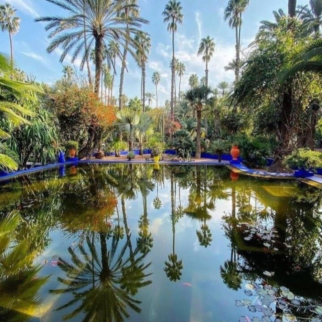 Jardin Majorelle à Marrakech : fusion de nature et d’art